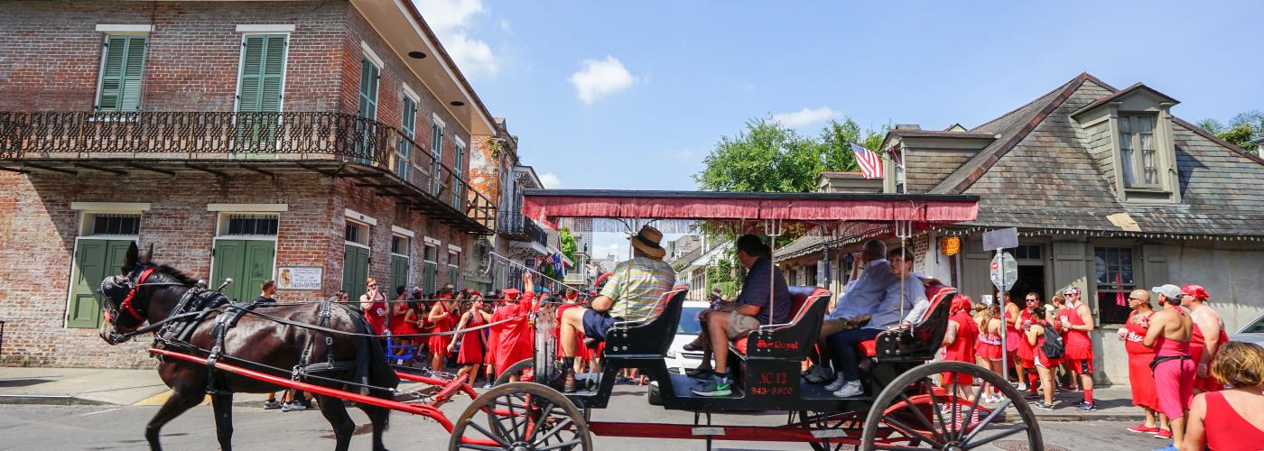 new orleans horse tours