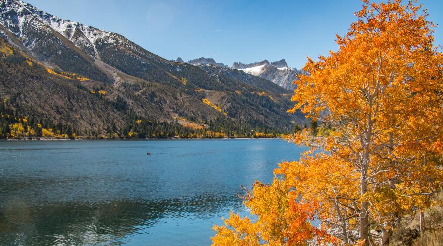 Fall Colors in Mono County - Mono County Tourism and Film Commission