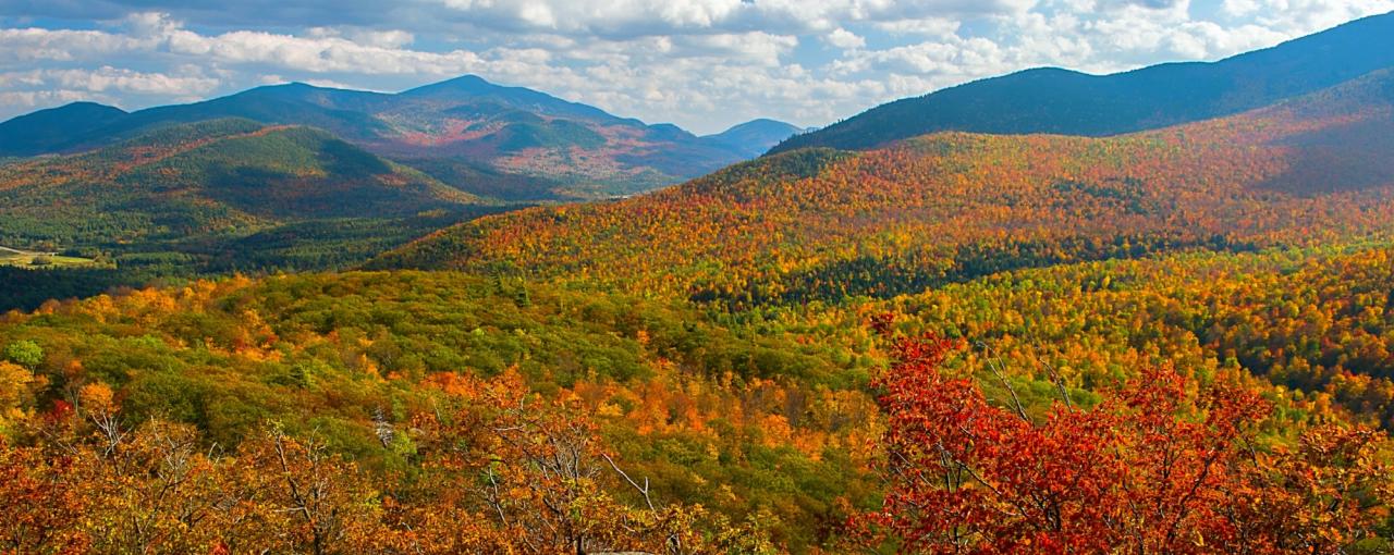 Fall Foliage In New York Autumn Leaves Scenic Drives