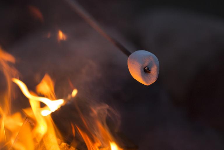 campfire marshmallow