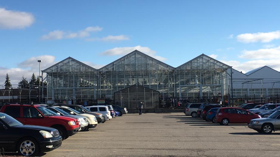 Gardener S Guide To 5 Grand Rapids Greenhouses And Markets