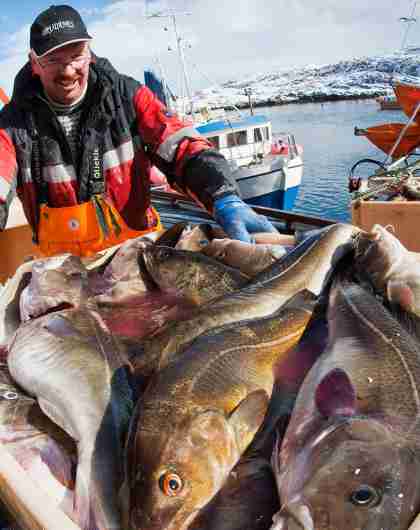 A fisherman at the fish reception facility at Vandsøy on the Namdalen coast, Norway