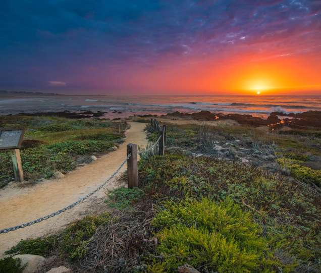 Explore Pacific Grove Beaches