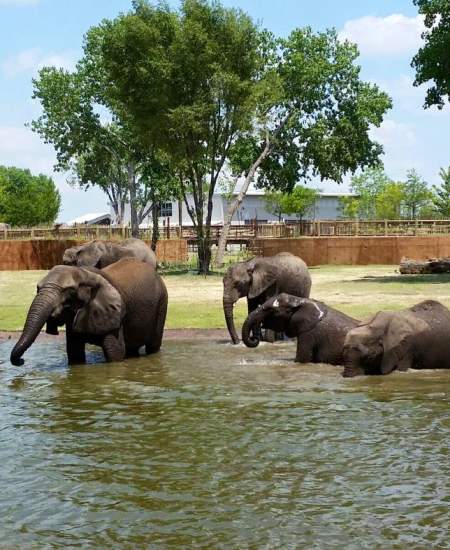 Sedgwick County Zoo