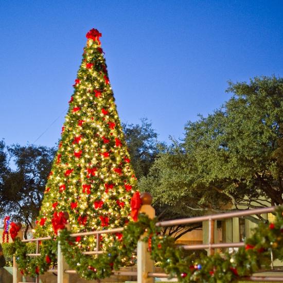 Fort Worth Holiday Checklist Events & Activities