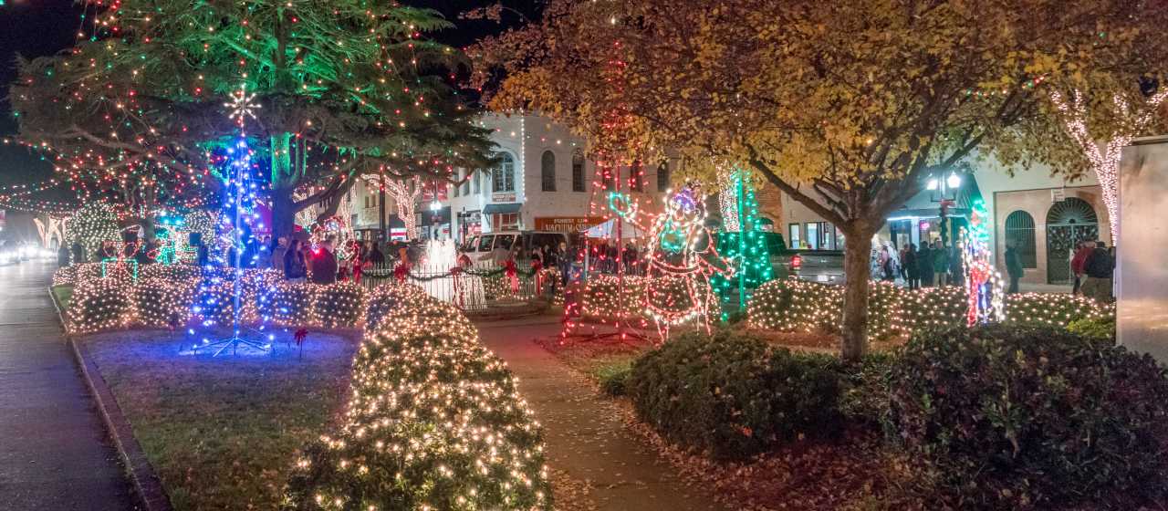 Downtown Forest City Christmas Lights}