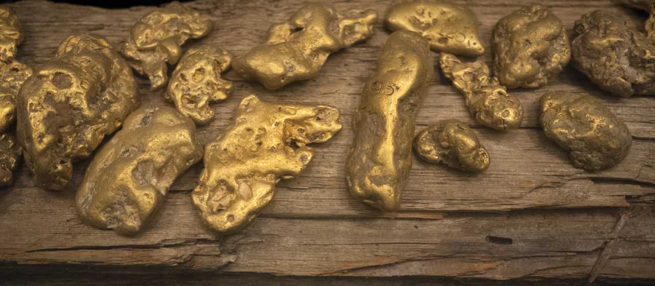 America's FIrst Gold Rush}