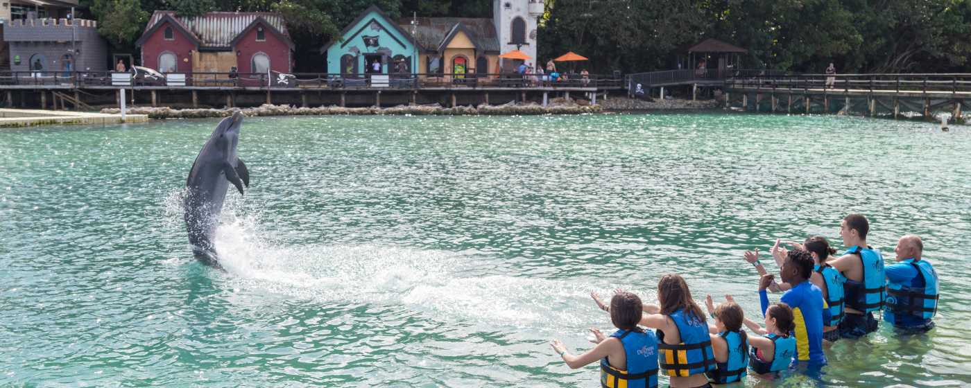Dolphin Cove