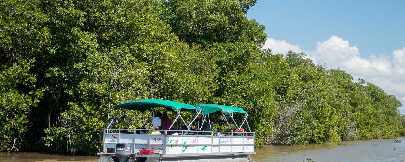 Black River Safari boat