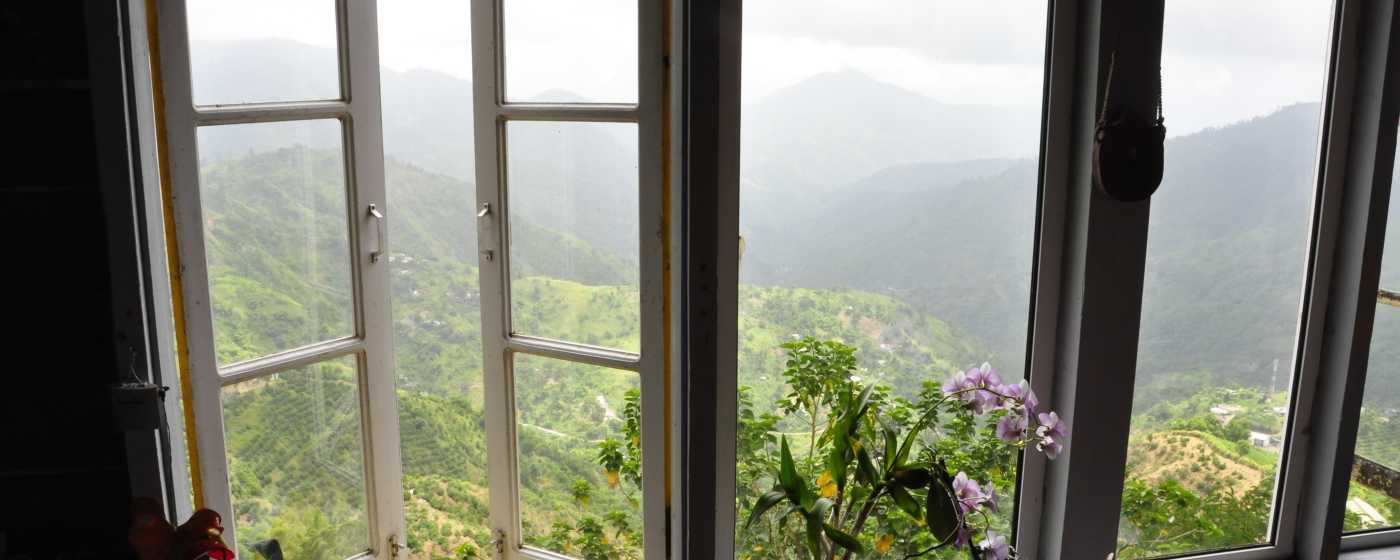 Blue Mountain Morning