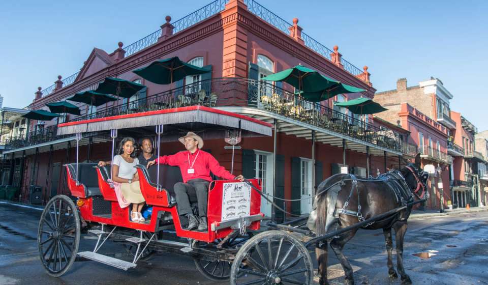 new orleans horse tours