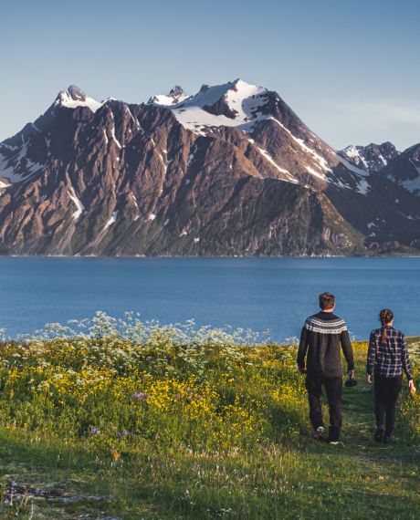 The Lyngenfjord region