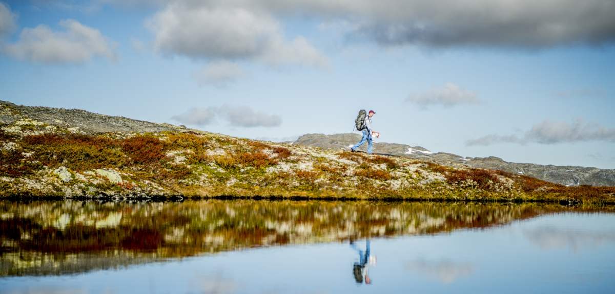A man hiking in Aurlandsdalen in autumn
