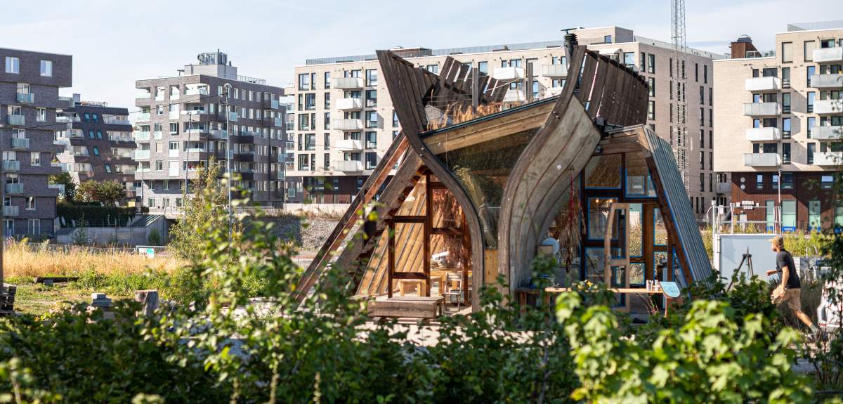 11 cool ways to explore Norway for eco-concious travellers