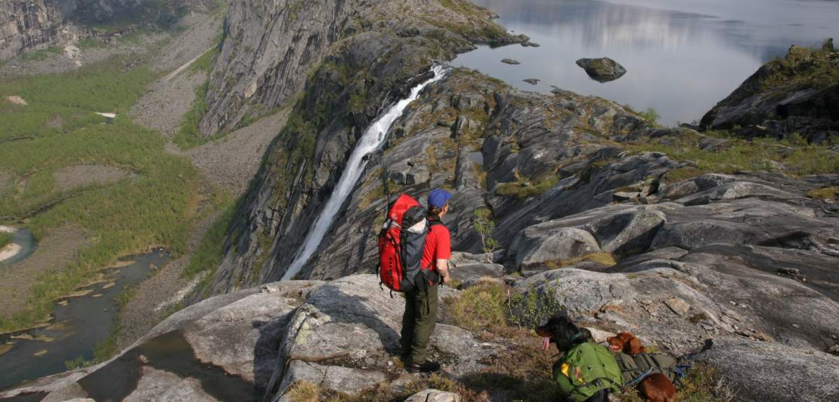 A person and two dogs looking at Litlverivassfossen in Rago national park