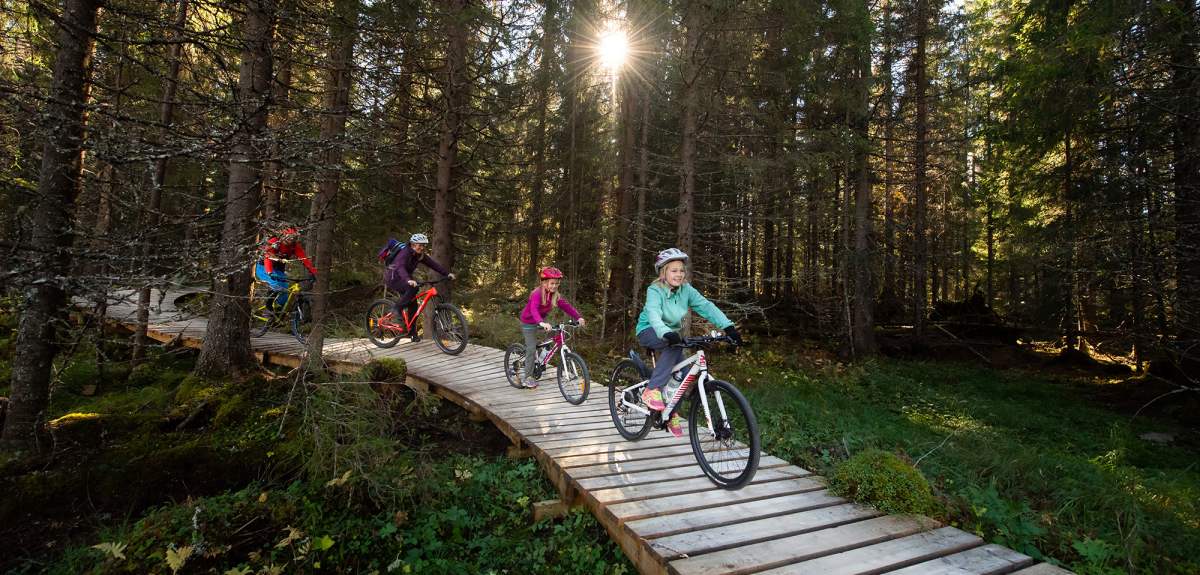A family of four is biking through the woods in Trysil bike arena in Trysil, Eastern Norway
