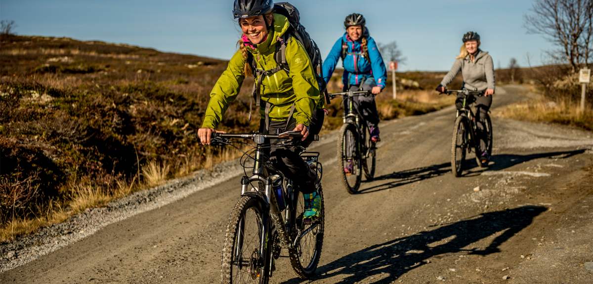 Three people cycling at a dirt road on the Hardangervidda mountain plateau in Eastern Norway