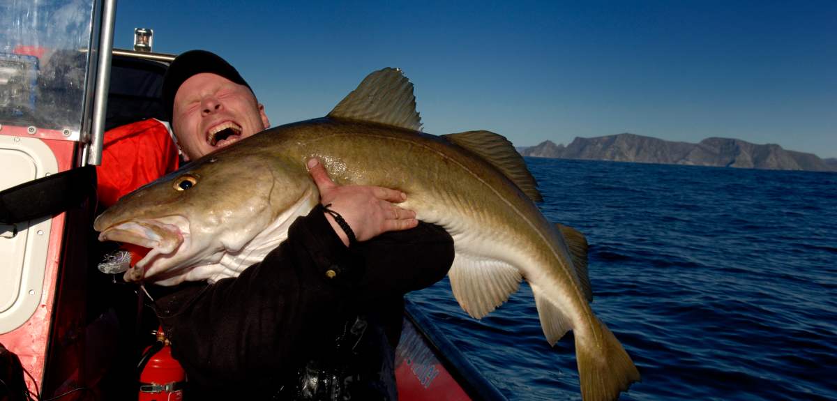 Cod cathing, Tromsø