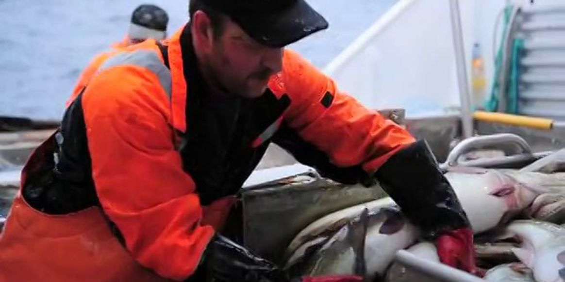 Cod fishing in Norway