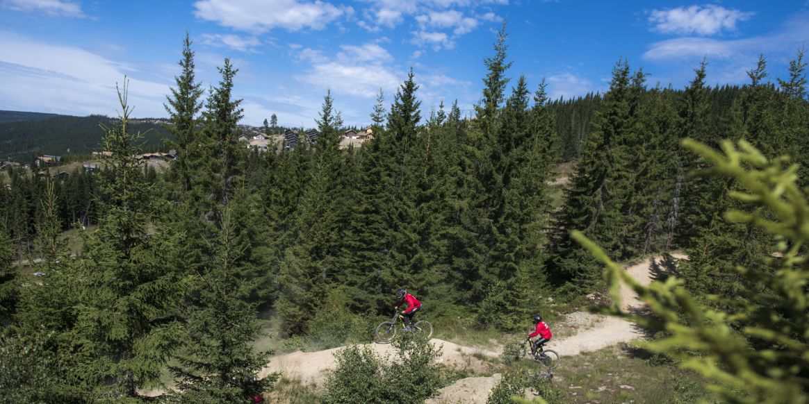 The Hedlunds in Hafjell