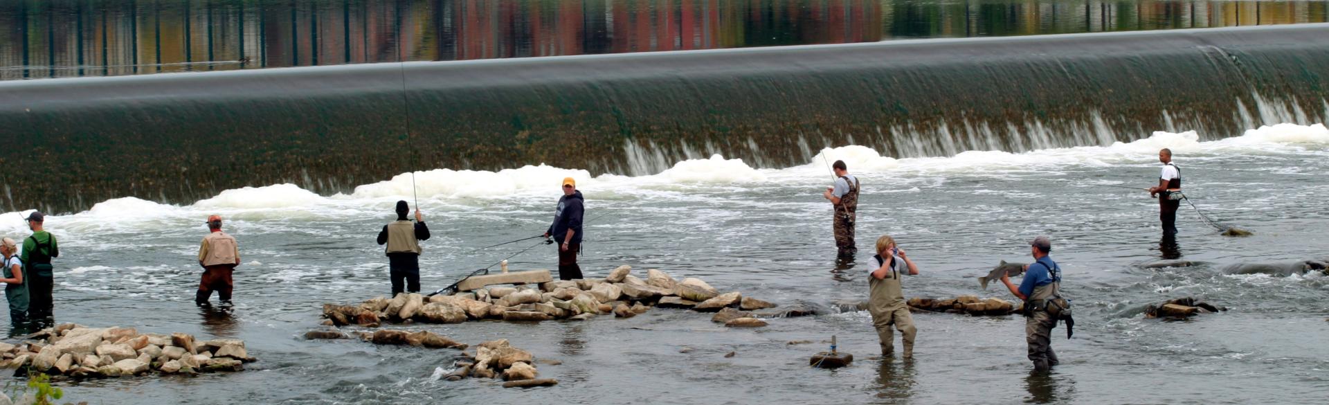 Steelhead Fishing in the Grand Rapids Area