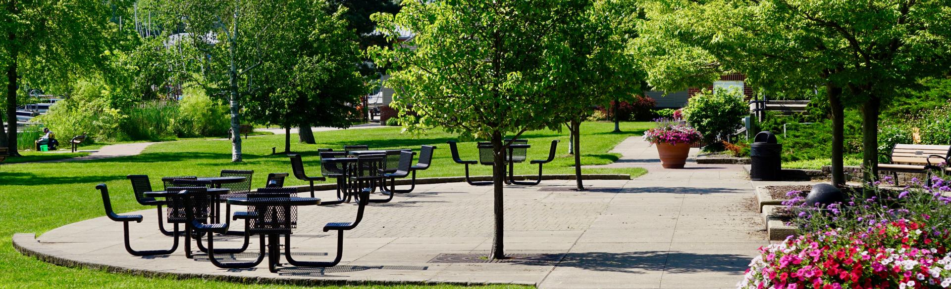 6 Spots for Your Grand Rapids Picnic | Learn Where & What to Pack