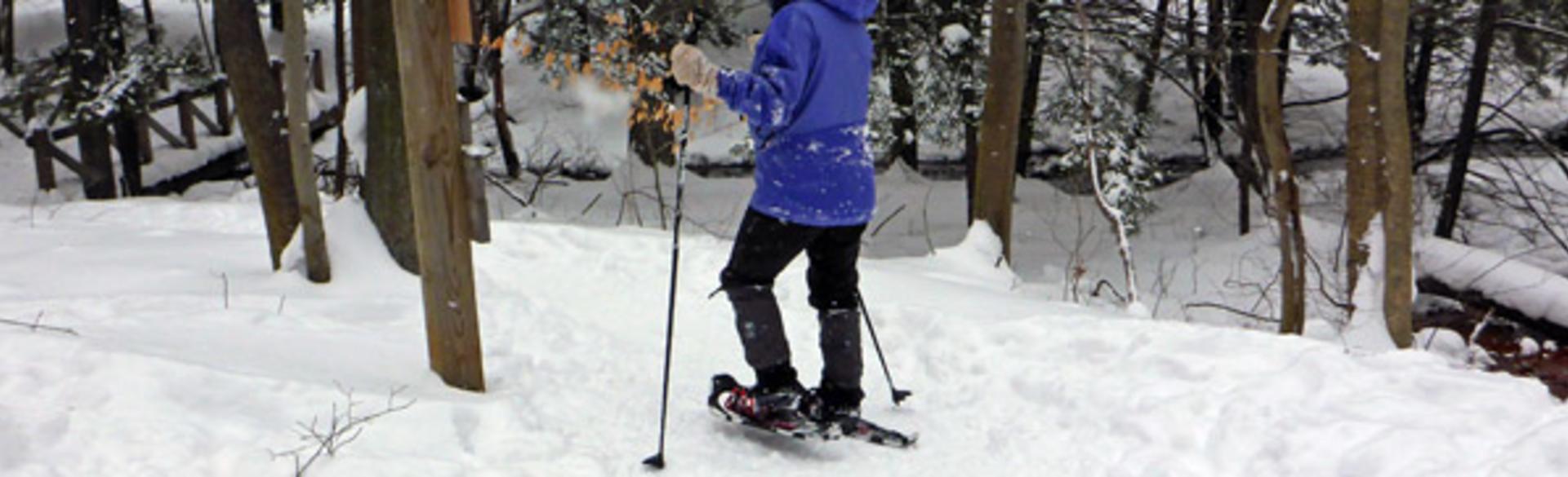 Snowshoeing Trails & Experiences in Grand Rapids