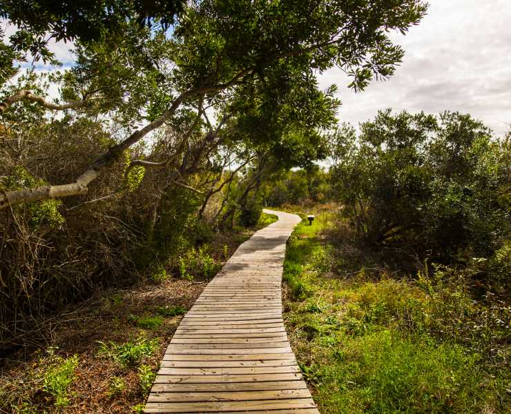 State National Parks Outdoors Parks Back Bay National Wildlife Refuge 0u7a9001 Copy Jpg