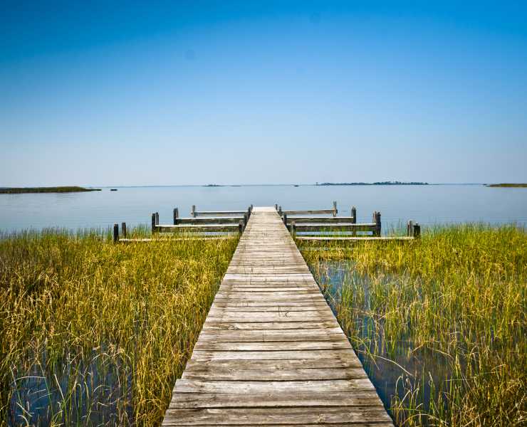 False Cape State Park Explore Virginia Beach Parks Back Bay