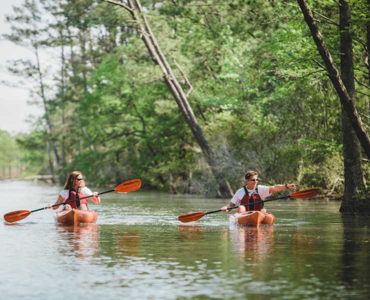 Outdoor Activities Attractions In Virginia Beach