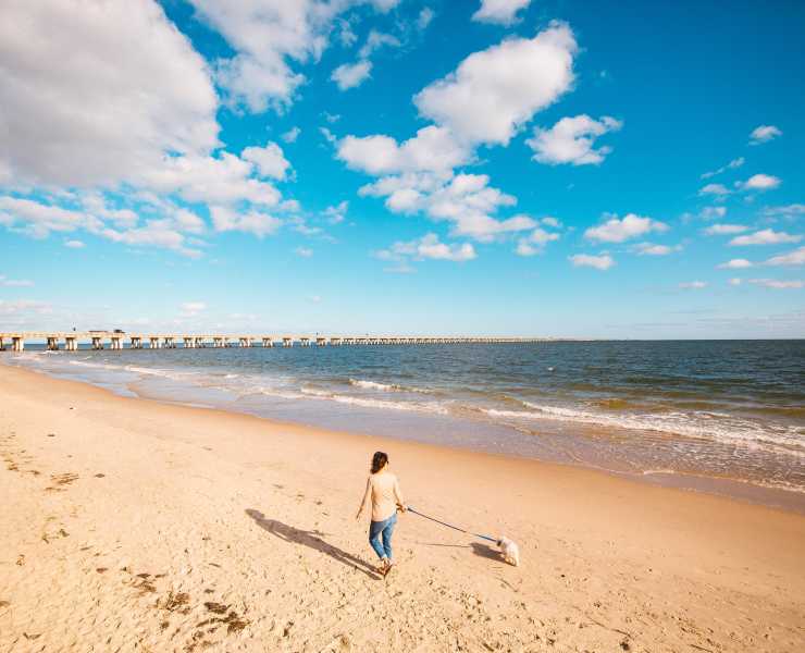 Discover Chesapeake Bay Find Hotels Restaurants Als Chesapeake Bay Chic S Beach