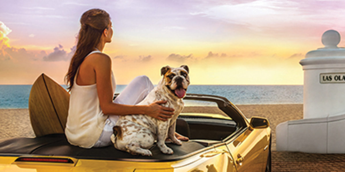 Fort Lauderdale Pet Friendly Attractions Dining Parks