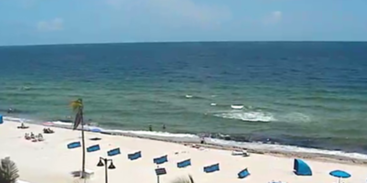 Fort Lauderdale Beach Cams Live Web Cams Of Surrounding Beaches