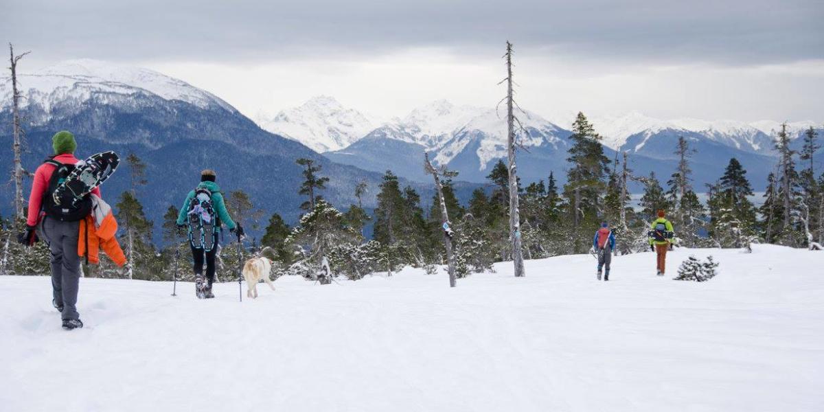 Snowshoeing Spaulding Meadows