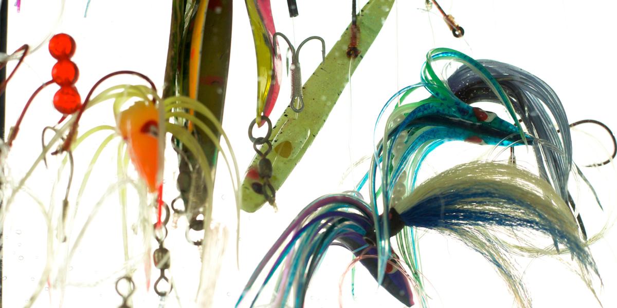Fishing Bait