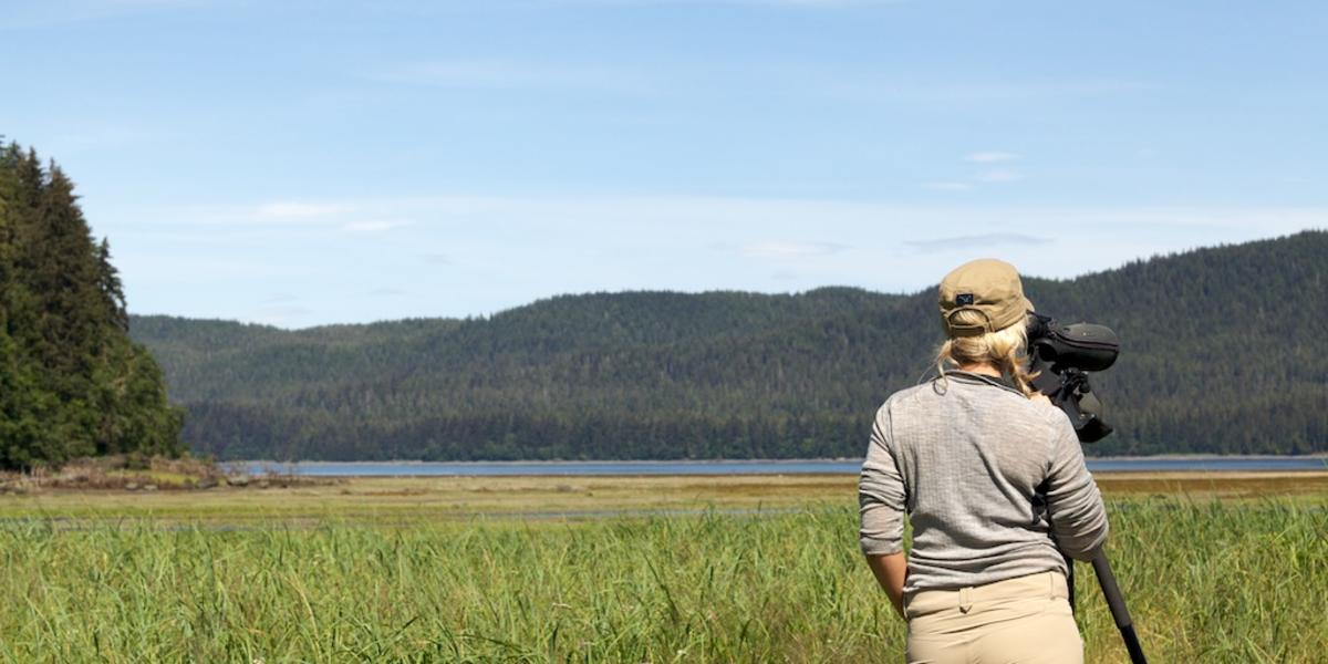 Pack Creek Bird Watching