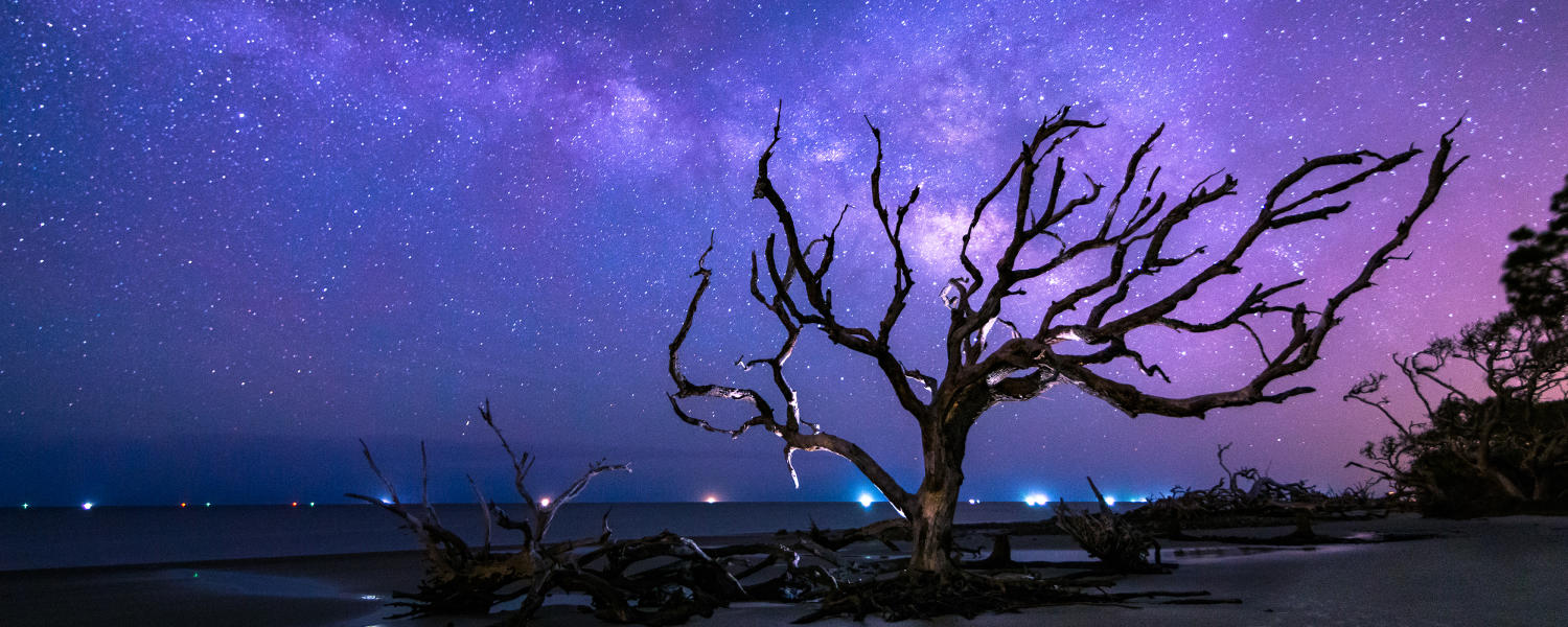 Jekyll Island Photos The Milky Way Shines Above Driftwood Beach On Jekyll Island Georgia