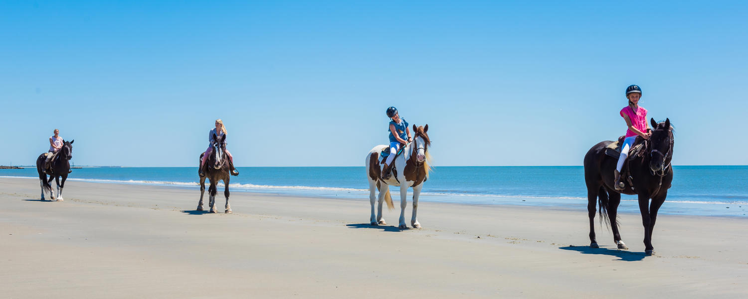Beach Horseback Riding Carriage Tours Golden Isles Georgia Play Activities Horseback Riding