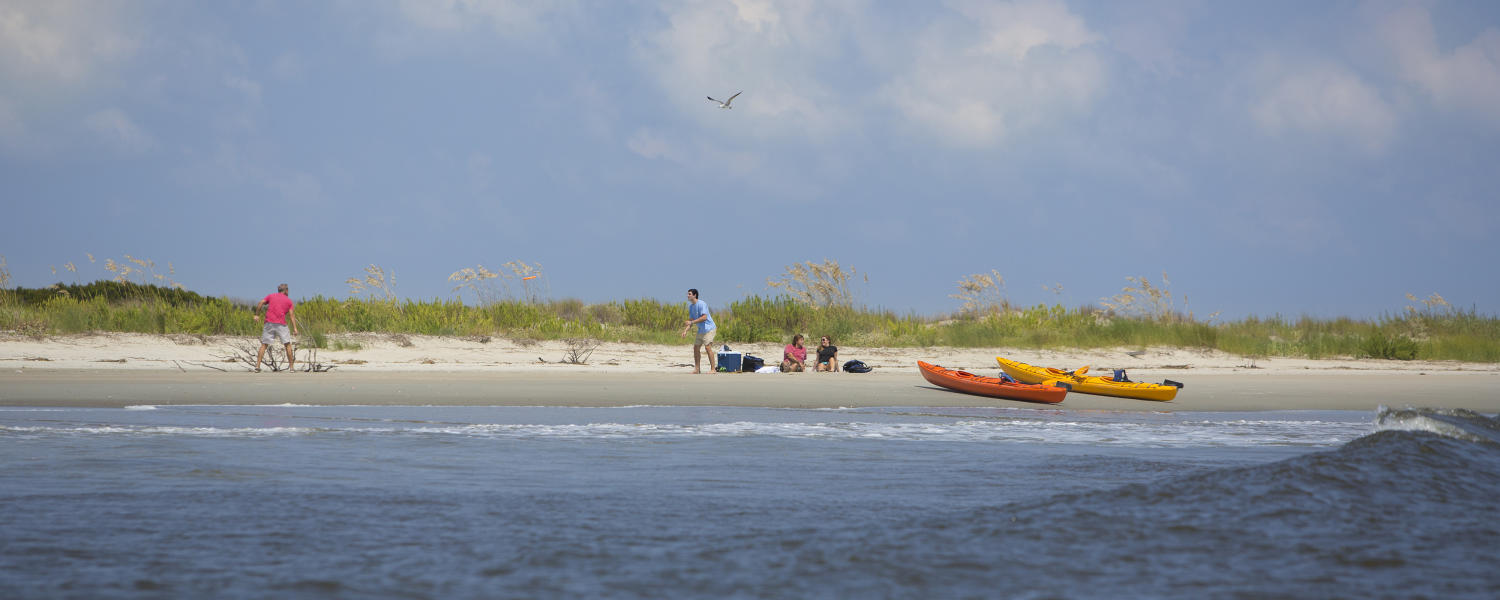 Things To Do On Georgia S Golden Isles Ping Tours Outdoors Play Primary