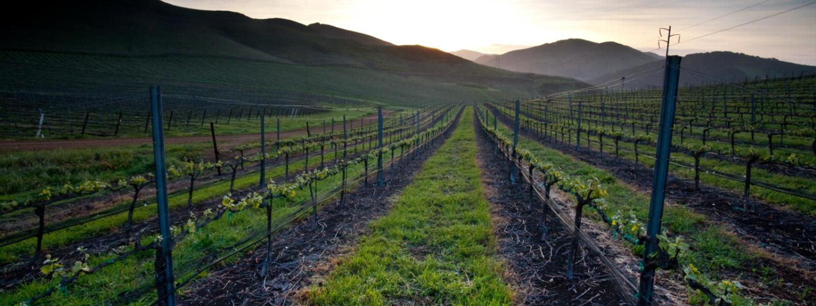 San Luis Obispo County Map Area Cities Attractions Amp More