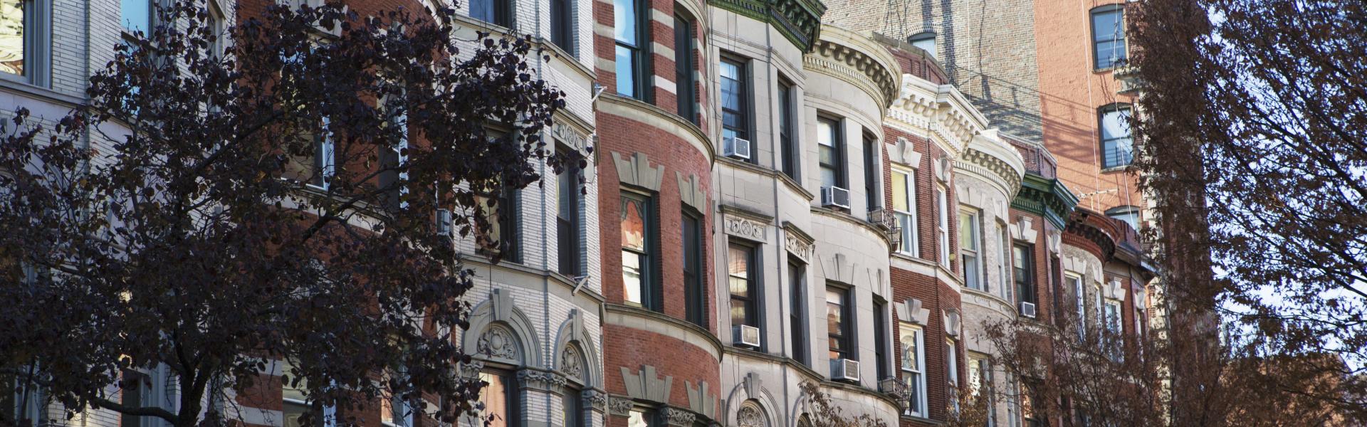 Harlem-Molly-Flores-X9A8452