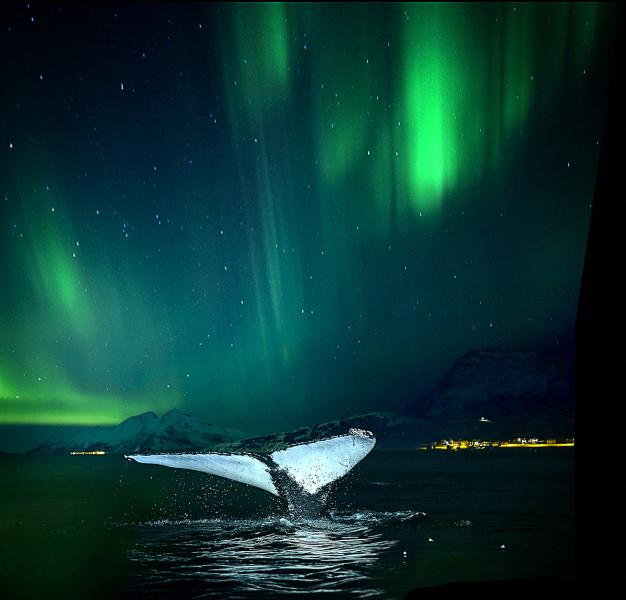 Northern Norway