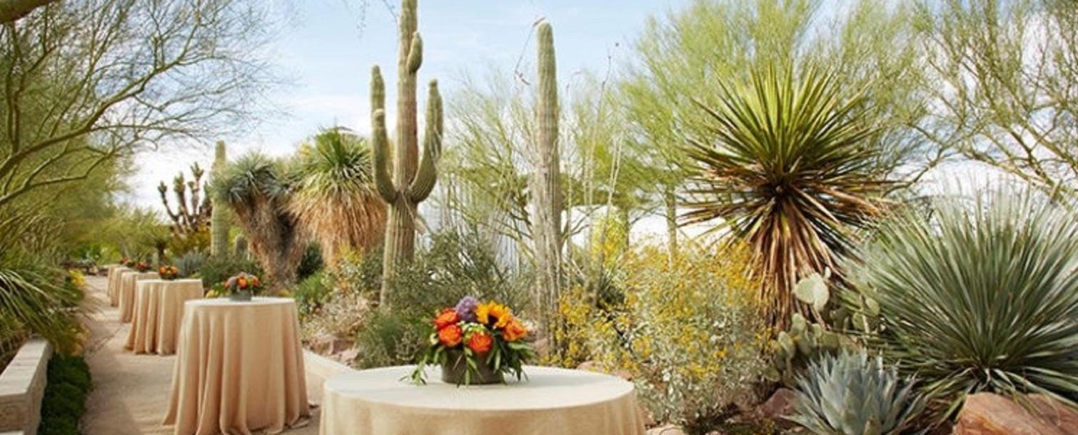 9 Unforgettable Las Vegas Wedding Venues