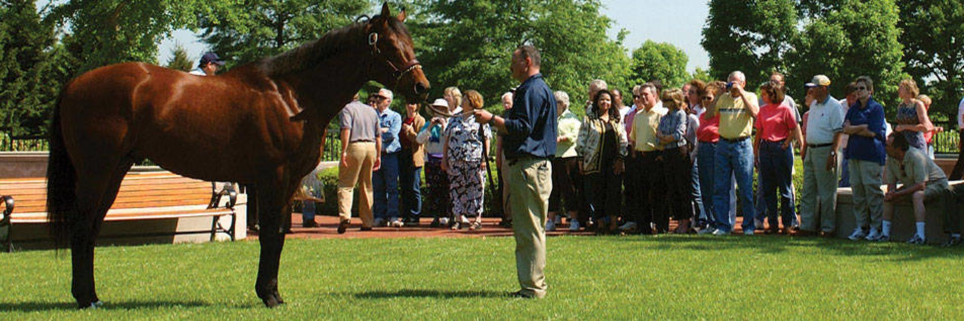 Consider, that Stable hands jobs in florence ky Stable hands jobs in florence ky
