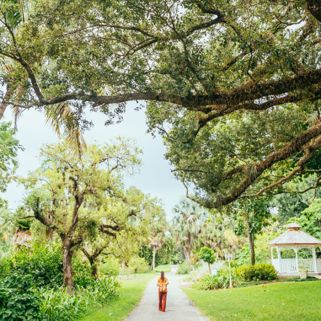 Woman walking along path at Flamingo Gardens Botanical Garden and Everglades Wildlife Sanctuary
