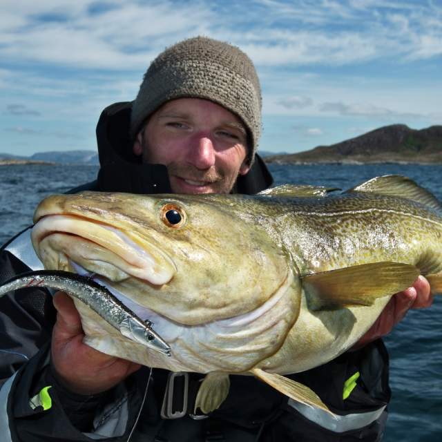 Sea fishing in Northern Norway  Think big on your fishing holiday