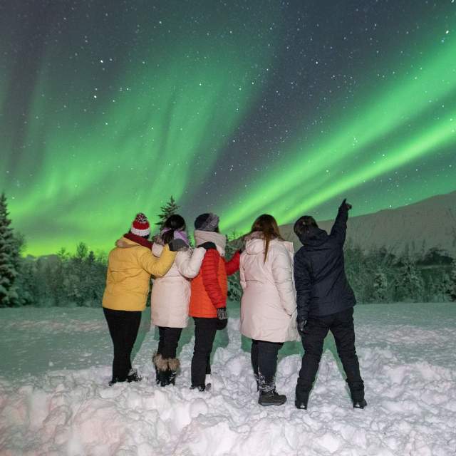 Adesso è il periodo migliore per vedere l'aurora boreale