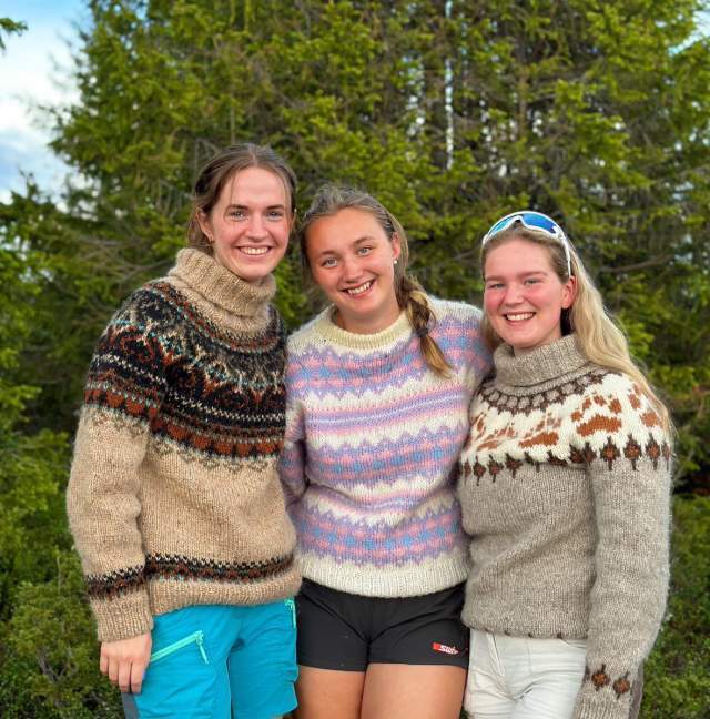 Best knit sweaters sale