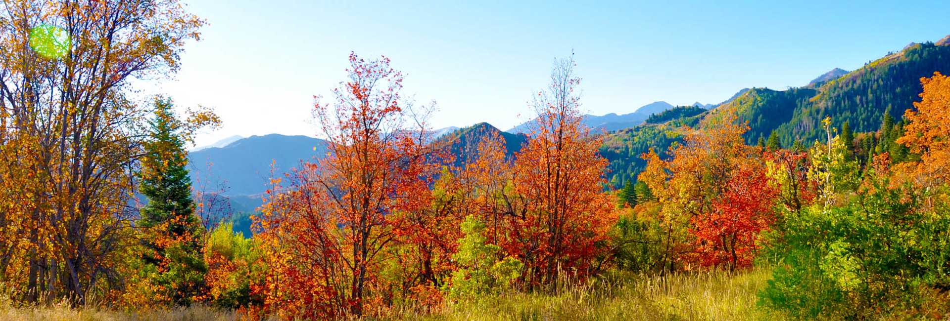 Best Family Vacation Destination Explore Utah Valley Best Family Vacation Destination Explore Utah Valley