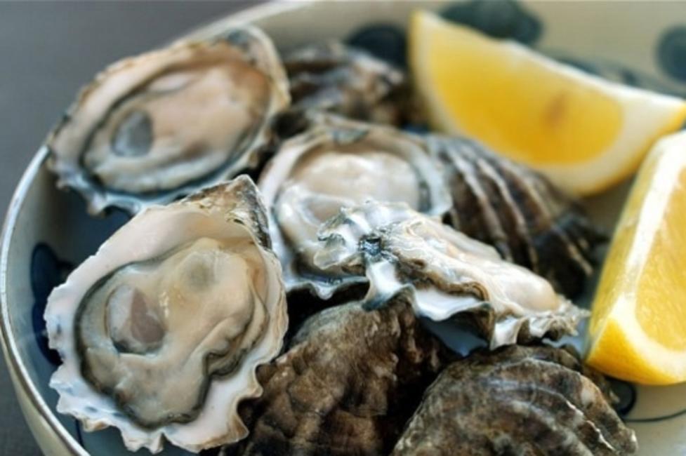 Oyster Festival Oyster Festival